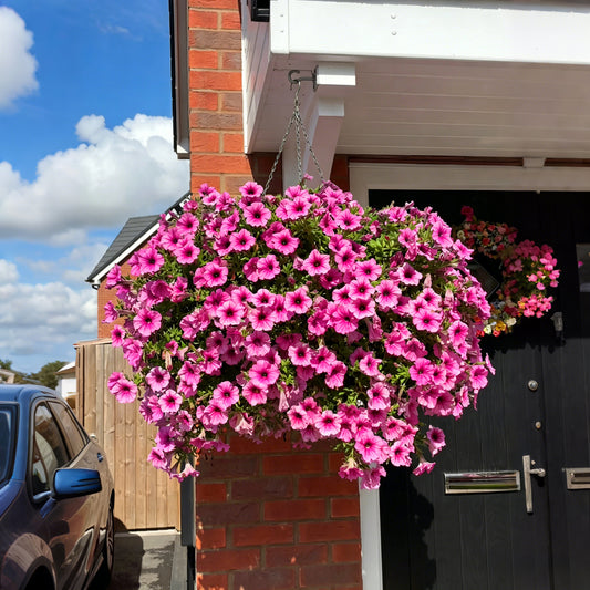 🔥Last Day 50% OFF 🌺UV Resistant Artificial Petunias Flowers