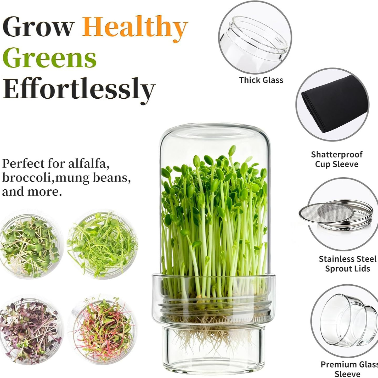Updated Sprouting Kit - Sprouting Jar Kits