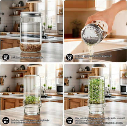 Updated Sprouting Kit - Sprouting Jar Kits