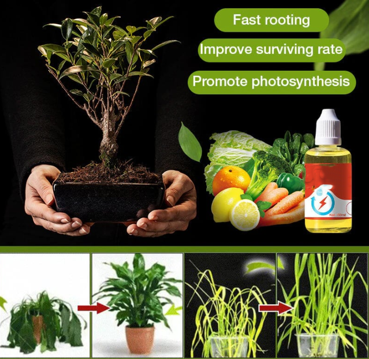 💥This Week Promotion 49% OFF💥 Plant Growth Enhancer Supplement