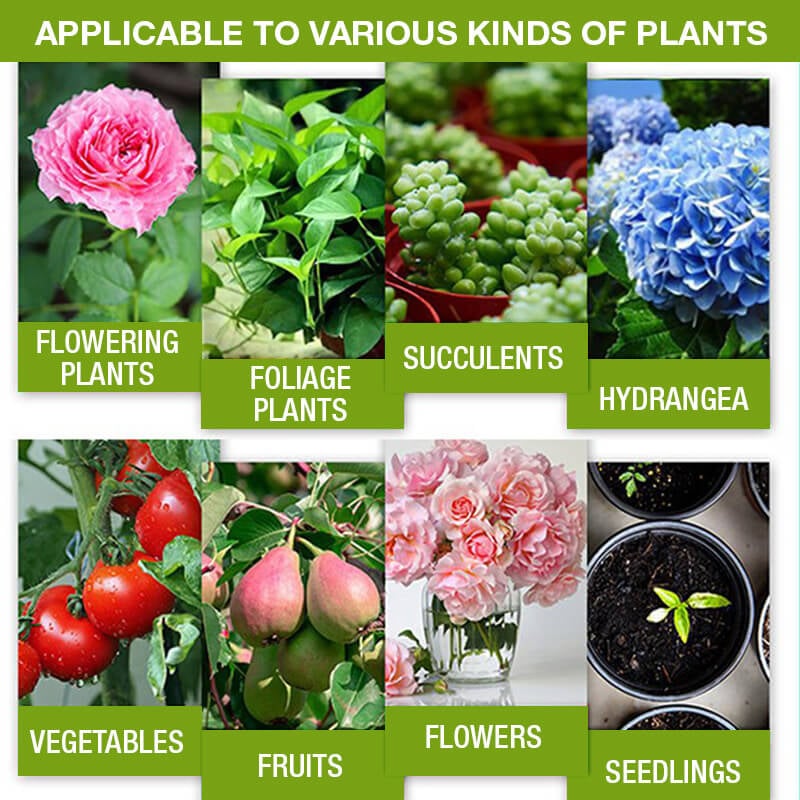 💥This Week Promotion 49% OFF💥 Plant Growth Enhancer Supplement