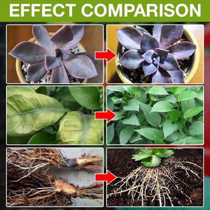 💥This Week Promotion 49% OFF💥 Plant Growth Enhancer Supplement