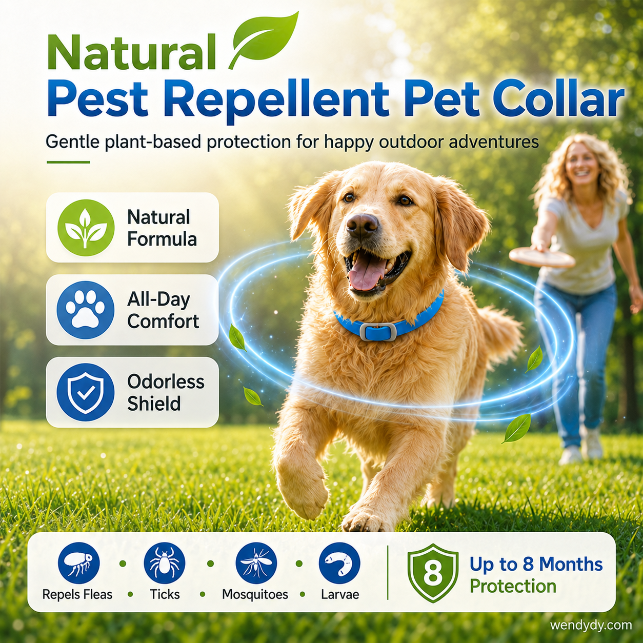 🥳2026 HOT SALE🌿🛡️ Natural Essential Oil Pet Collar – 8‑month flea & tick protection. Plant‑based, no harsh chemicals. Safe for dogs & cats! 🐾✨