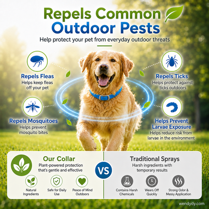 🥳2026 HOT SALE🌿🛡️ Natural Essential Oil Pet Collar – 8‑month flea & tick protection. Plant‑based, no harsh chemicals. Safe for dogs & cats! 🐾✨