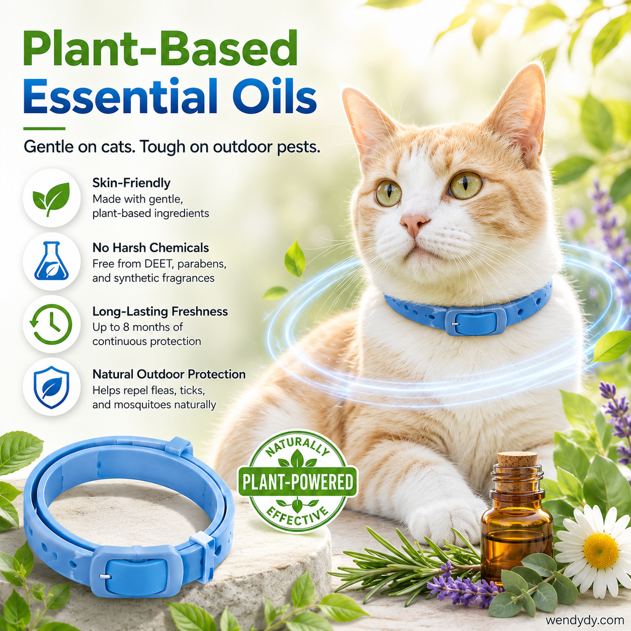 🥳2026 HOT SALE🌿🛡️ Natural Essential Oil Pet Collar – 8‑month flea & tick protection. Plant‑based, no harsh chemicals. Safe for dogs & cats! 🐾✨