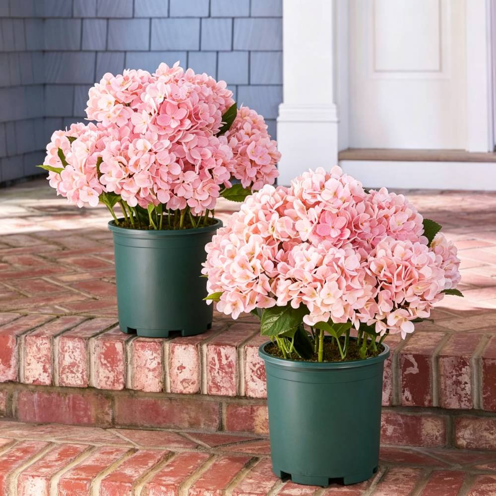 💥Last Day 70% OFF💐Artificial Outdoor Hydrangea Flowers - UV resistant, Waterproof, Windproof