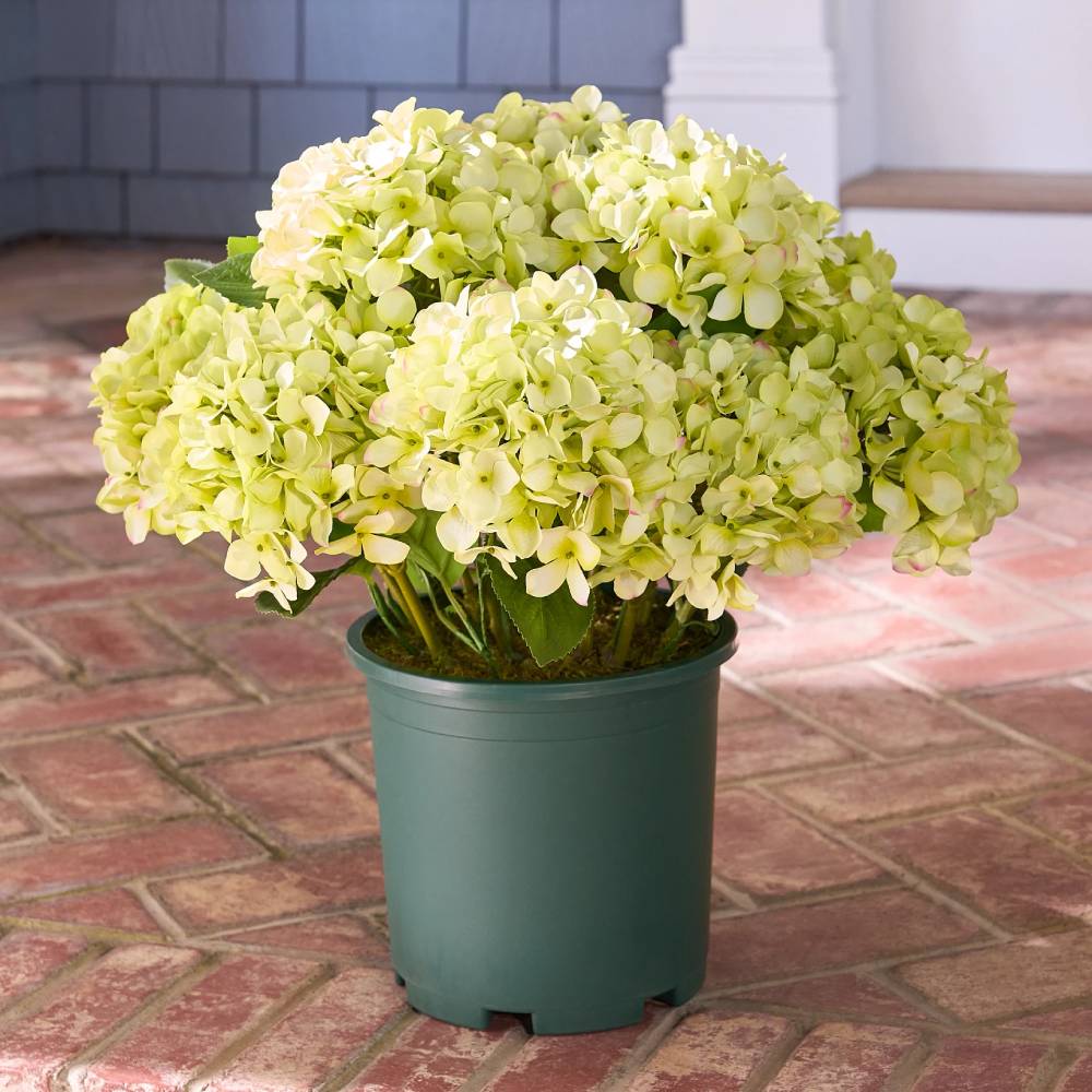 💥Last Day 70% OFF💐Artificial Outdoor Hydrangea Flowers - UV resistant, Waterproof, Windproof