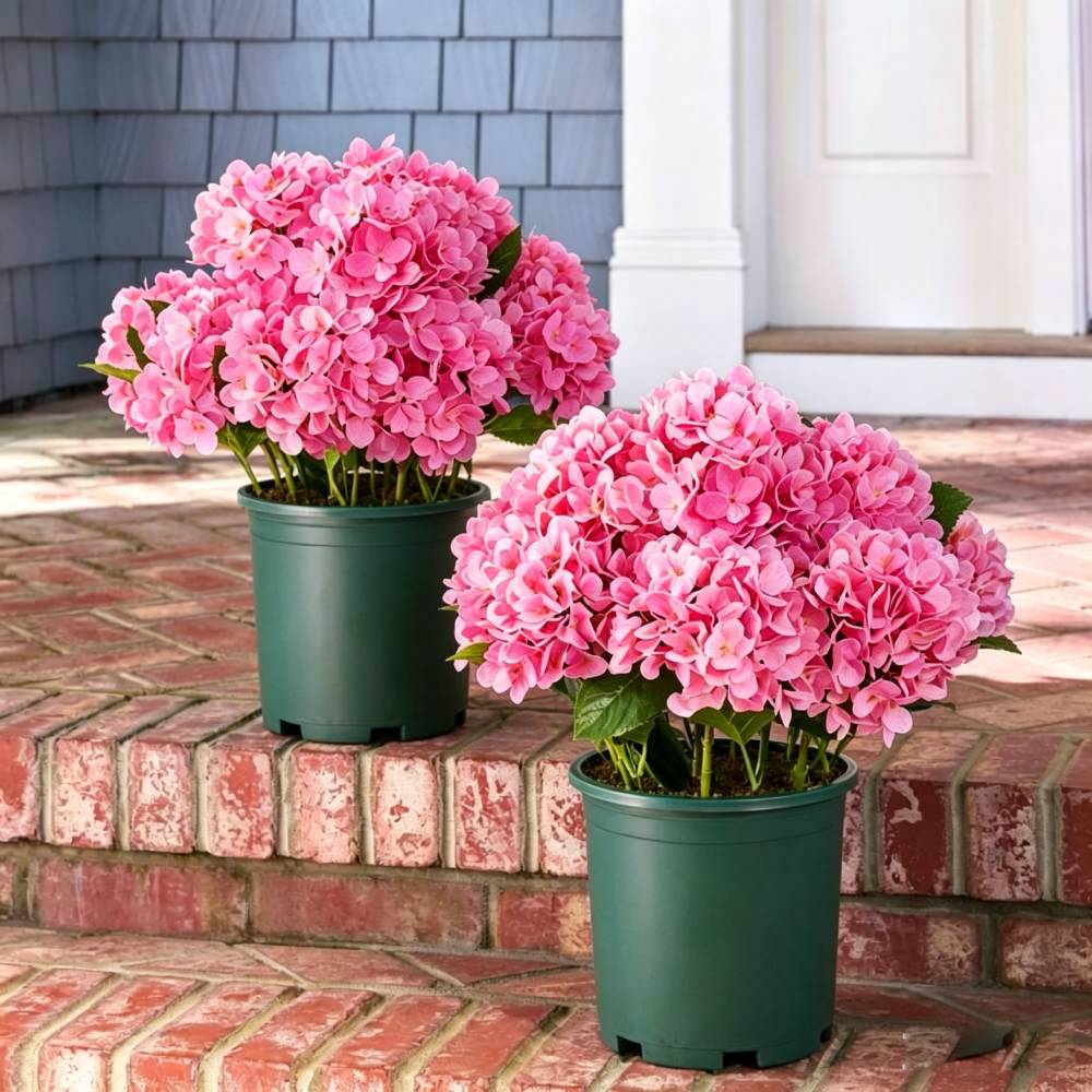 💥Last Day 70% OFF💐Artificial Outdoor Hydrangea Flowers - UV resistant, Waterproof, Windproof