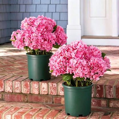 💥Last Day 70% OFF💐Artificial Outdoor Hydrangea Flowers - UV resistant, Waterproof, Windproof